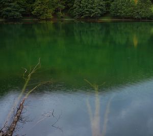 Scenic view of lake