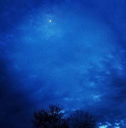 Low angle view of trees against sky at night