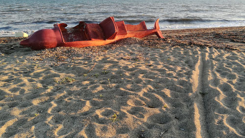 Scenic view of sea shore at beach