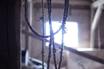 Close-up of icicles hanging on metal during winter