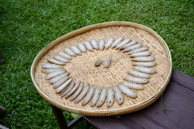 High angle view of bread on field