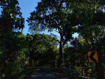 Road amidst trees and plants against blue sky