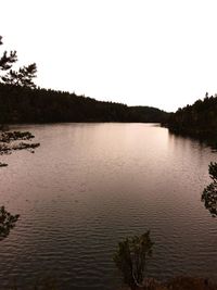 Scenic view of lake in forest against clear sky