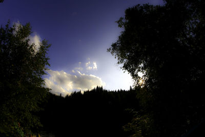 Low angle view of silhouette trees against sky at sunset