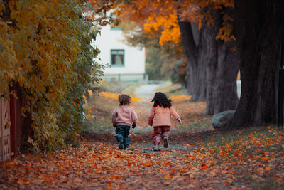 Rear view of friends running on autumn leaves