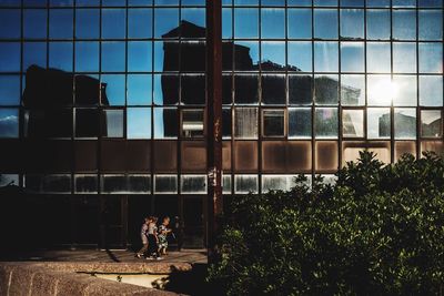 Reflection of building on glass window