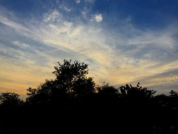 Silhouette trees against sky during sunset