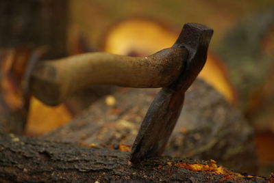 Close-up of axe cutting 