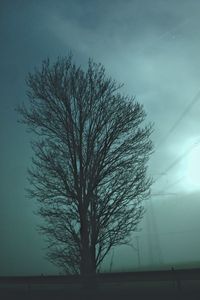 Low angle view of bare trees against sky