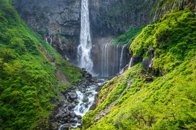 Scenic view of waterfall in forest