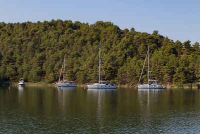 Scenic view of lake against trees