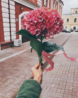 Midsection of person holding flowering plant in city