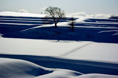 Snow covered land and trees against sky