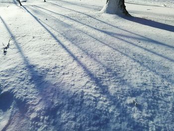 High angle view of person on snow