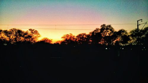 Silhouette of trees at sunset
