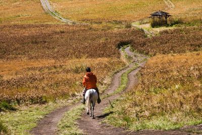 Dirt road in field