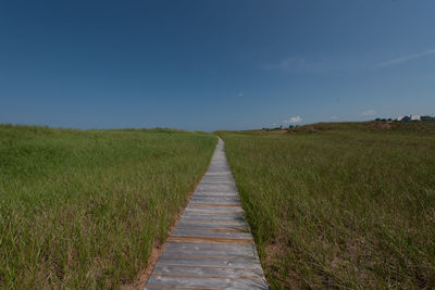 Footpath amidst grass on field against sky