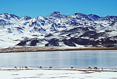 Scenic view of snow covered mountains