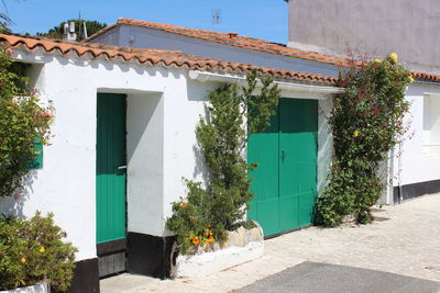 Potted plants outside building