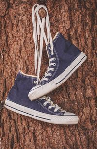 Trainers chucks converse hanging in old tree