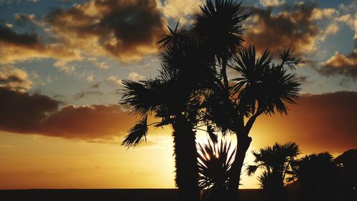 Low angle view of silhouette palm trees against sky during sunset