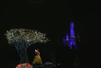 Illuminated christmas tree by building against sky at night