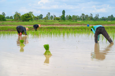 Full length of men walking on agricultural field