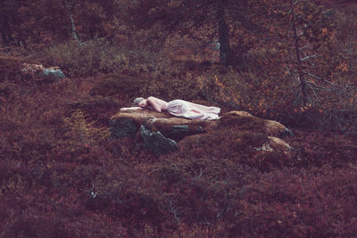 View of lying down in forest