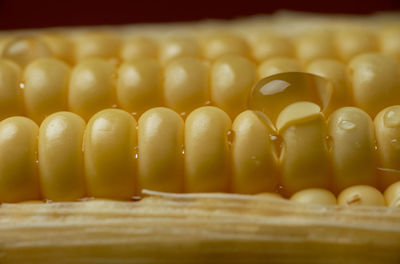 Close-up of candies in row
