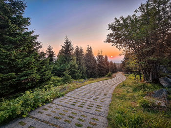 Footpath amidst trees against sky during sunset