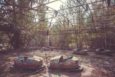 Boats moored in forest against sky