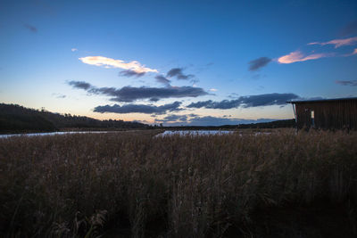 Scenic view of field against sky during sunset