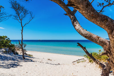 Scenic view of sea against clear blue sky