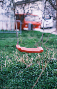 Close-up of red plant on field