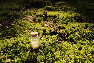 Beach in a glass bottle