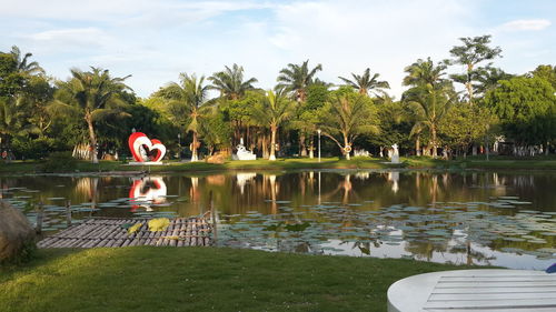 Reflection of palm trees in lake