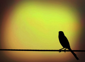 Bird perching on tree trunk