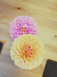 Close-up of purple flower
