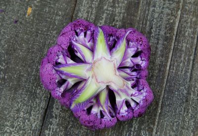 High angle view of pink rose on wood