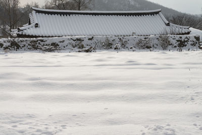 Snow covered landscape