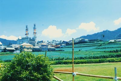Plants and buildings against sky in city