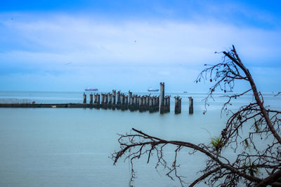 Wooden posts in sea against sky