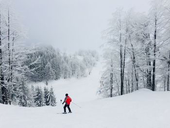 Rear view of man skiing on snow amidst trees against sky