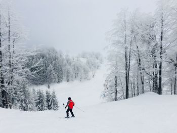 Rear view of man on snow against sky