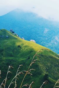 Scenic view of sea and mountains