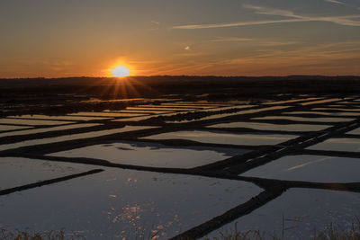 Scenic view of field against sky during sunset