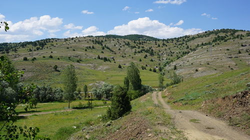 Scenic view of field against sky