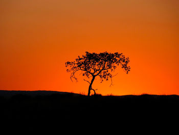 Silhouette tree on field against orange sky