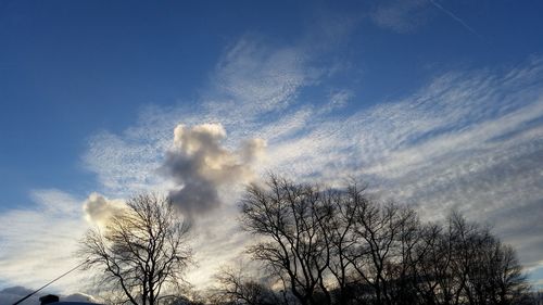 Low angle view of trees against cloudy sky