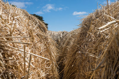 Close-up of hay bales on field against sky